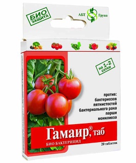 Гамаир растворимые таблетки пакет 20 шт (АБТ), РФ