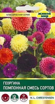 Георгина Помпонная смесь (N.L.Chrestensen) 0,3 г, РБ