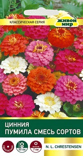 Цинния Пумила смесь сортов (N.L.Chrestensen) 1 г, РБ