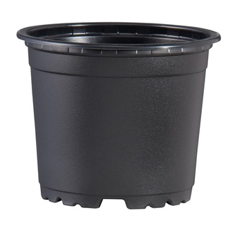 горшок VCG 15 terracotta/black, Германия
