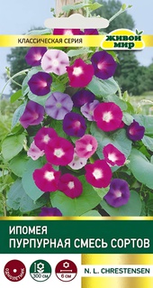 Ипомея пурпурная смесь сортов (N.L.Chrestensen) 2 г, РБ