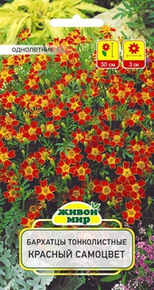 Бархатцы тонколистные Красный самоцвет (W. Legutko), 0,2 г, РБ