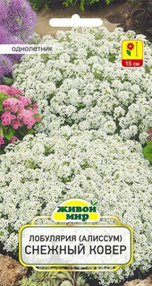 Лобулярия (Алиссум) Снежный ковер (W. Legutko), 0,3 г, РБ