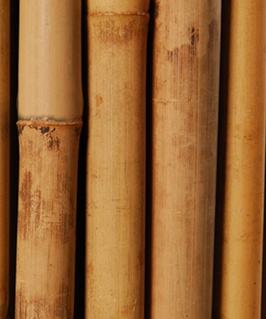 Опора бамбуковая 120см 10-12мм, Польша