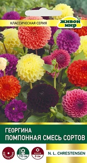 Георгина Помпонная смесь (N.L.Chrestensen) 0,3 г, РБ