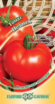Томат Пелагея 0,1г автор. крупнопл, РФ