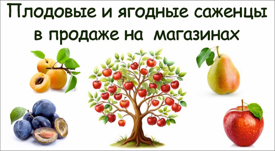 В продаже