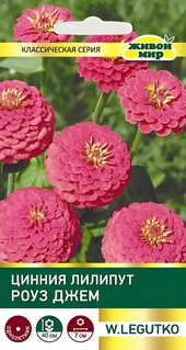 Цинния Лилипут Роуз Джем (W. Legutko) 1 г, РБ
