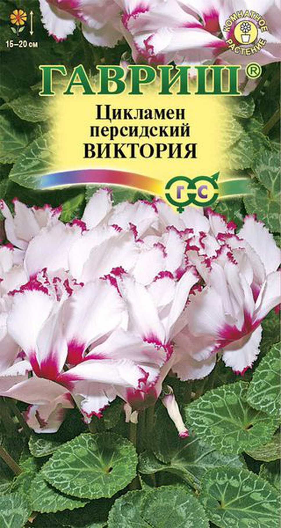 Семена комнатных растений. Гавриш цикламен персидский цветы. Цветы цикламен персидский Виктория. Семена Гавриш цикламен персидский Габи 3 шт.. Семена цикламена Гавриш.