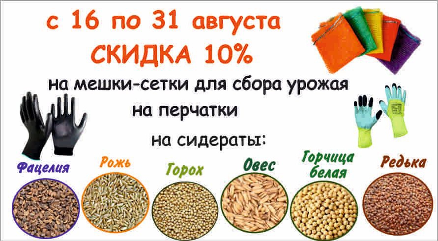 акция месяца