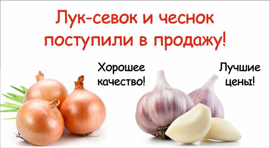 лук и чеснок