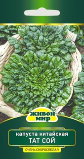 Капуста китайская Тат Сой (W. Legutko) 1 г, РБ