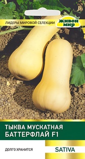 Тыква мускатная Баттерфлай F1 (Sativa) 5 шт, РБ
