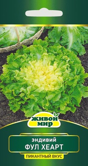 Эндивий Фул Хеарт (W. Legutko) 1 г, РБ