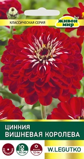 Цинния Вишневая королева (W. Legutko) 1 г, РБ