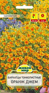 Бархатцы тонколистные Оранж джем (W. Legutko), 0,2 г, РБ