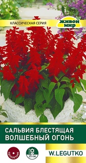Сальвия блестящая Волшебный огонь (W. Legutko) 0,2 г, РБ