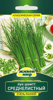 Лук шнитт Среднелистный (W. Legutko) 0,5 г, РБ