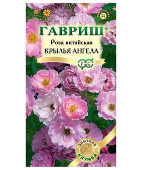 Роза китайская Крылья ангела 5 шт. серия Элитная клумба, РФ