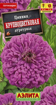 Цинния Крупноцветковая пурпурная 0,3г, РФ