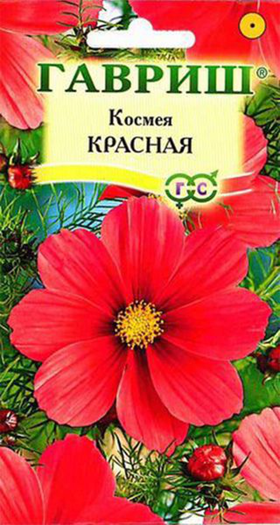 Цветы семена каталог. Космея красная 0,3 г. Космея семена Гавриш. Гавриш космея красная. Семена Гавриш космея красная 0,3 г.