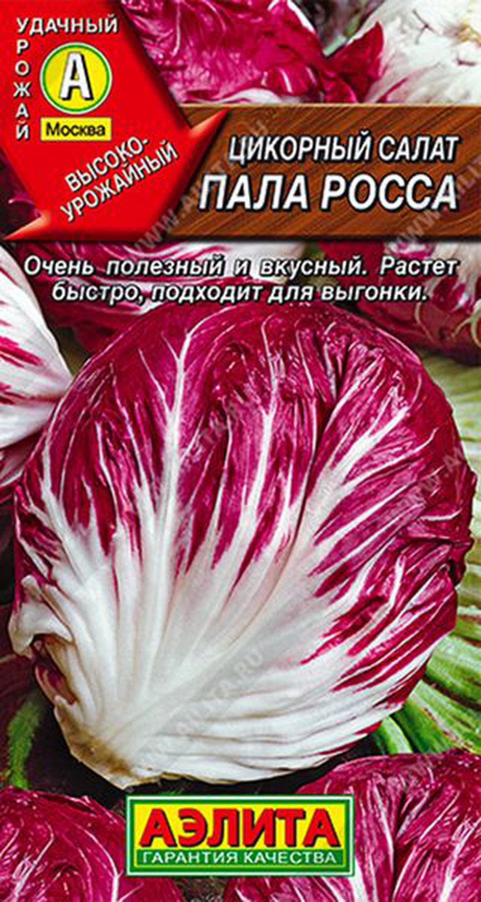 Салат цикорный отзывы. Салат цикорный пала Росса. Семена салат ред Болл цикорный. Горький салат цикорный Палла Росса фиолетовый. Цикорный салат пала Бионда.