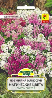 Лобулярия (Алиссум) Магические цвета смесь (W. Legutko), 0,3 г, РБ