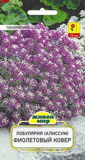 Лобулярия (Алиссум) Фиолетовый ковер (W. Legutko), 0,3 г, РБ