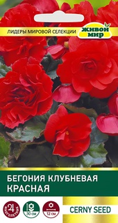 Бегония клубневая Красная (Cerny seed) 10 шт, РБ