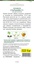 Кукуруза Старшайн F1 сахарная (Syngenta) 15 шт, РБ