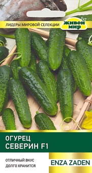 Огурец Северин F1 (Enza Zaden) 5 шт, РБ