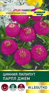 Цинния Лилипут Парпл Джем  (W. Legutko) 1 г, РБ