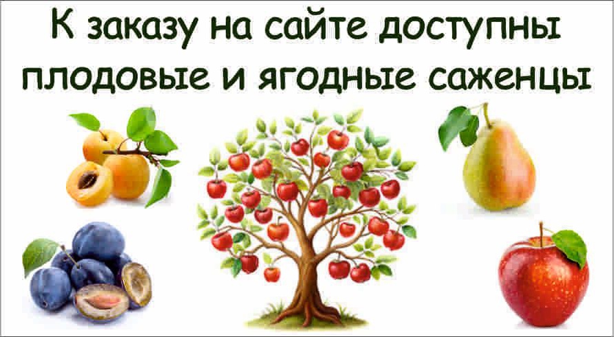 В продаже