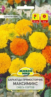 Бархатцы прямостоячие карликовые Максимикс (W. Legutko), 0,5 г, РБ