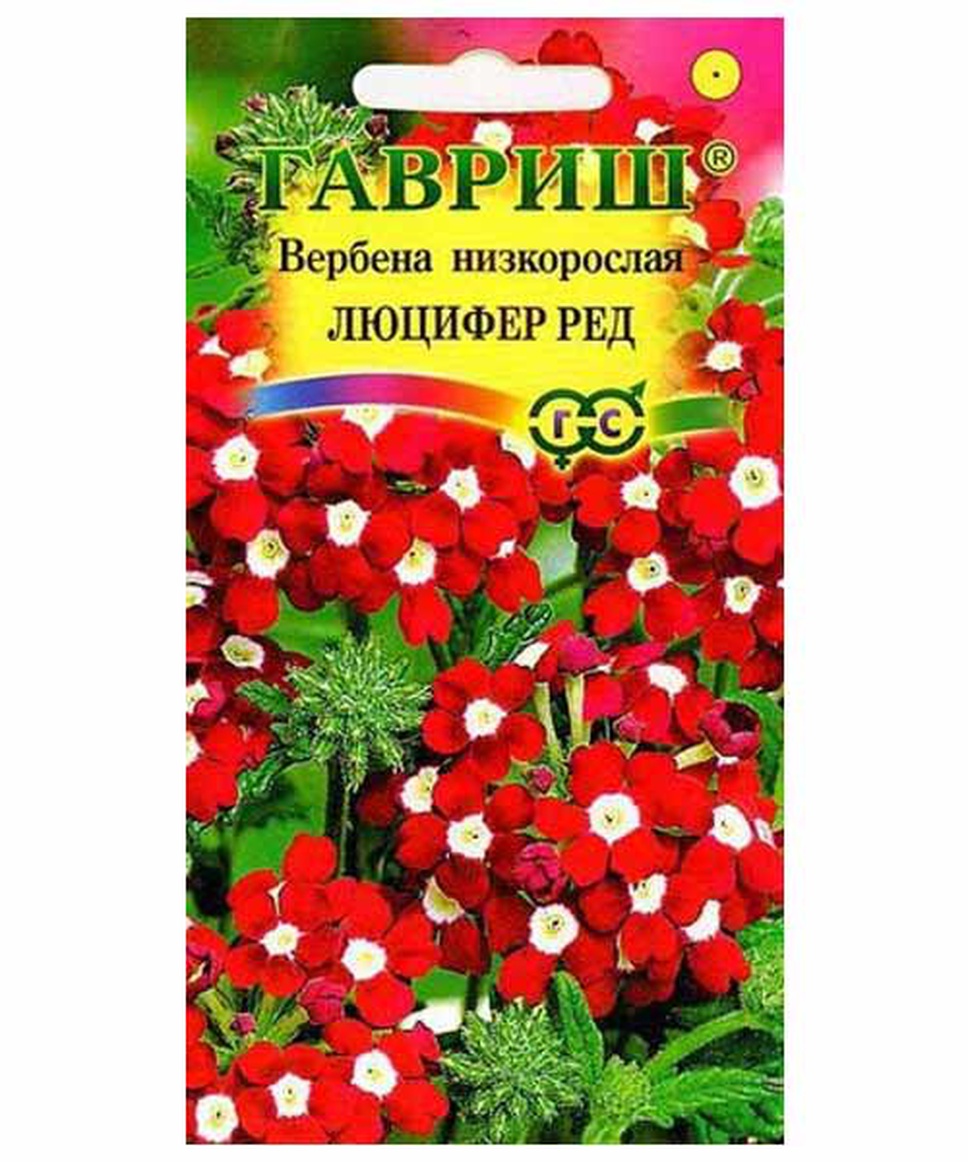 Вербена люцифер. Вербена Люцифер ред, гибридная* 0,1 г. Семена Вербена Люцифер Гавриш. Семена Вербена Люцифер ред низкая Гавриш. Вербена бонарская.