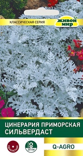 Цинерария приморская Сильвердаст (Q-Agro) 0,1 г, РБ