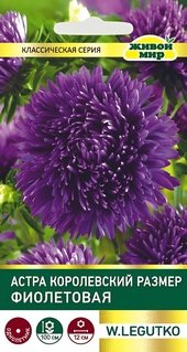 Астра Королевский размер фиолетовая (W. Legutko) 0,3 г, РБ