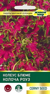 Колеус блюме Колоча Роуз (Cerny seed) 10 шт, РБ