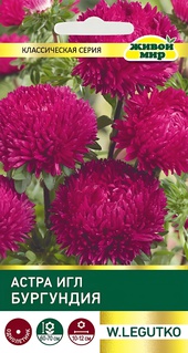 Астра Игл Бургундия (W. Legutko) 0,3 г, РБ