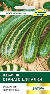 Кабачок Стриато д'Италия (W. Legutko) 2 г, РБ