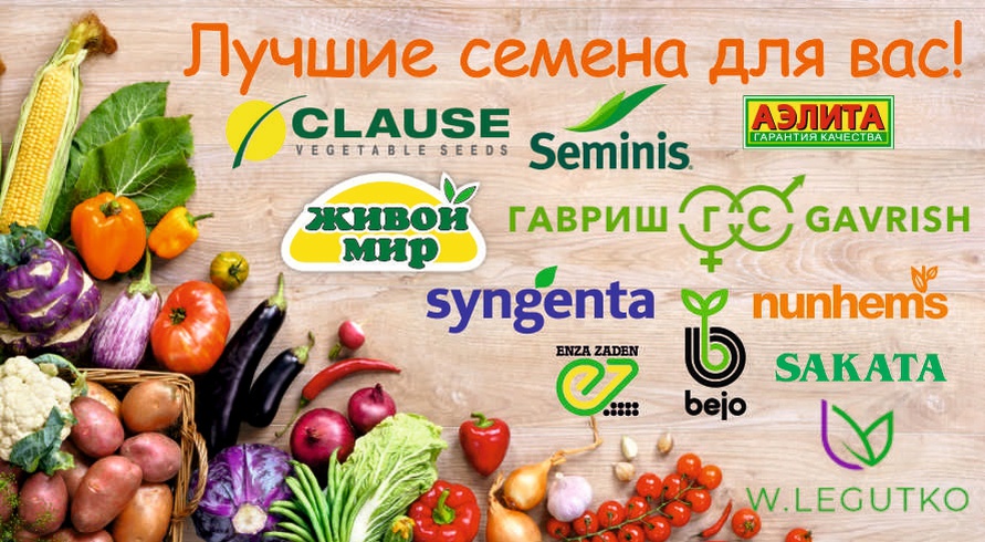 Купить семена с доставкой почтой по России | Каталог интернет-магазина семян 