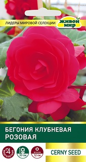 Бегония клубневая Розовая (Cerny seed) 10 шт, РБ