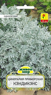 Цинерария приморская Кэндикэнс (W. Legutko), 0,2 г, РБ