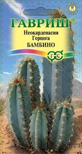 Цереус перуанский (Кактус) Бамбино 4 шт, РФ