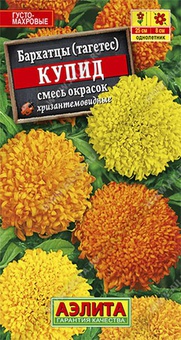 Бархатцы Купид хризантемовидные смесь 0,3 г, РФ