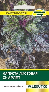Капуста листовая Скарлет (W. Legutko) 0,5 г, РБ