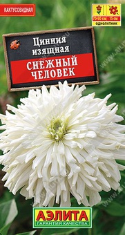 Цинния Снежный человек кактусовидная 0,3 г, РФ