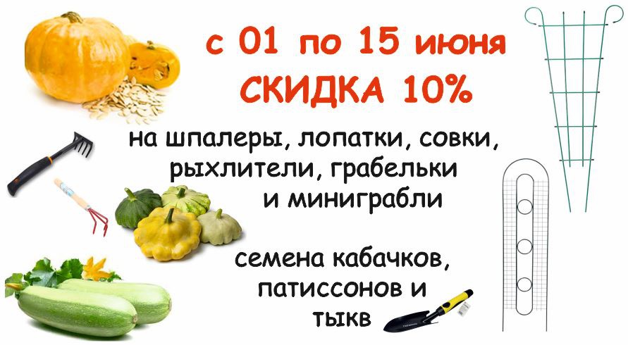 акция месяца
