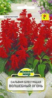 Сальвия блестящая Волшебный огонь (W. Legutko), 0,2 г, РБ