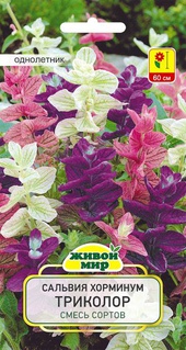 Сальвия хорминум Триколор смесь (W. Legutko), 1 г, РБ